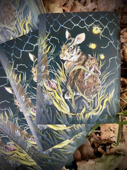 Card Sleeves