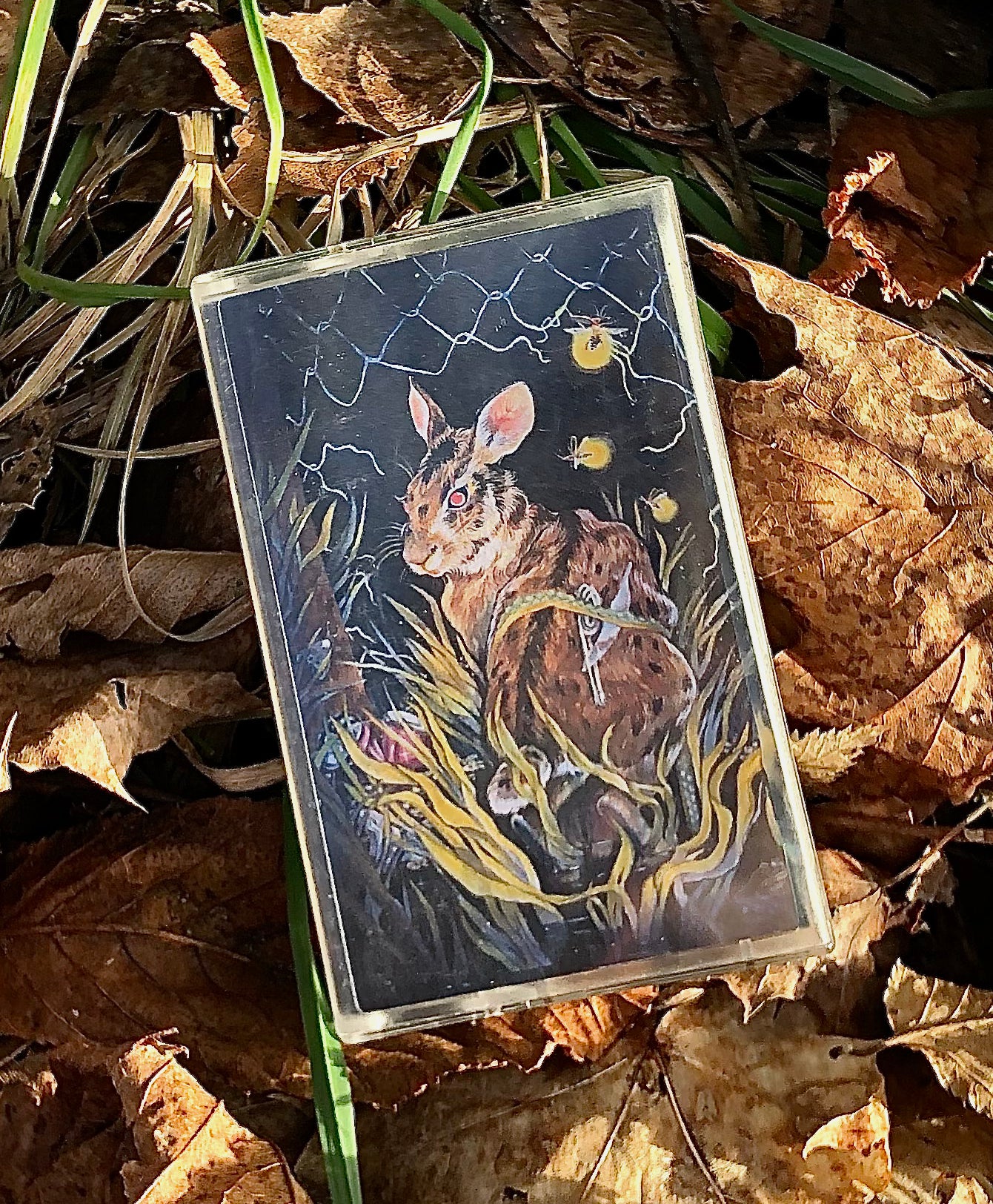 Cassette